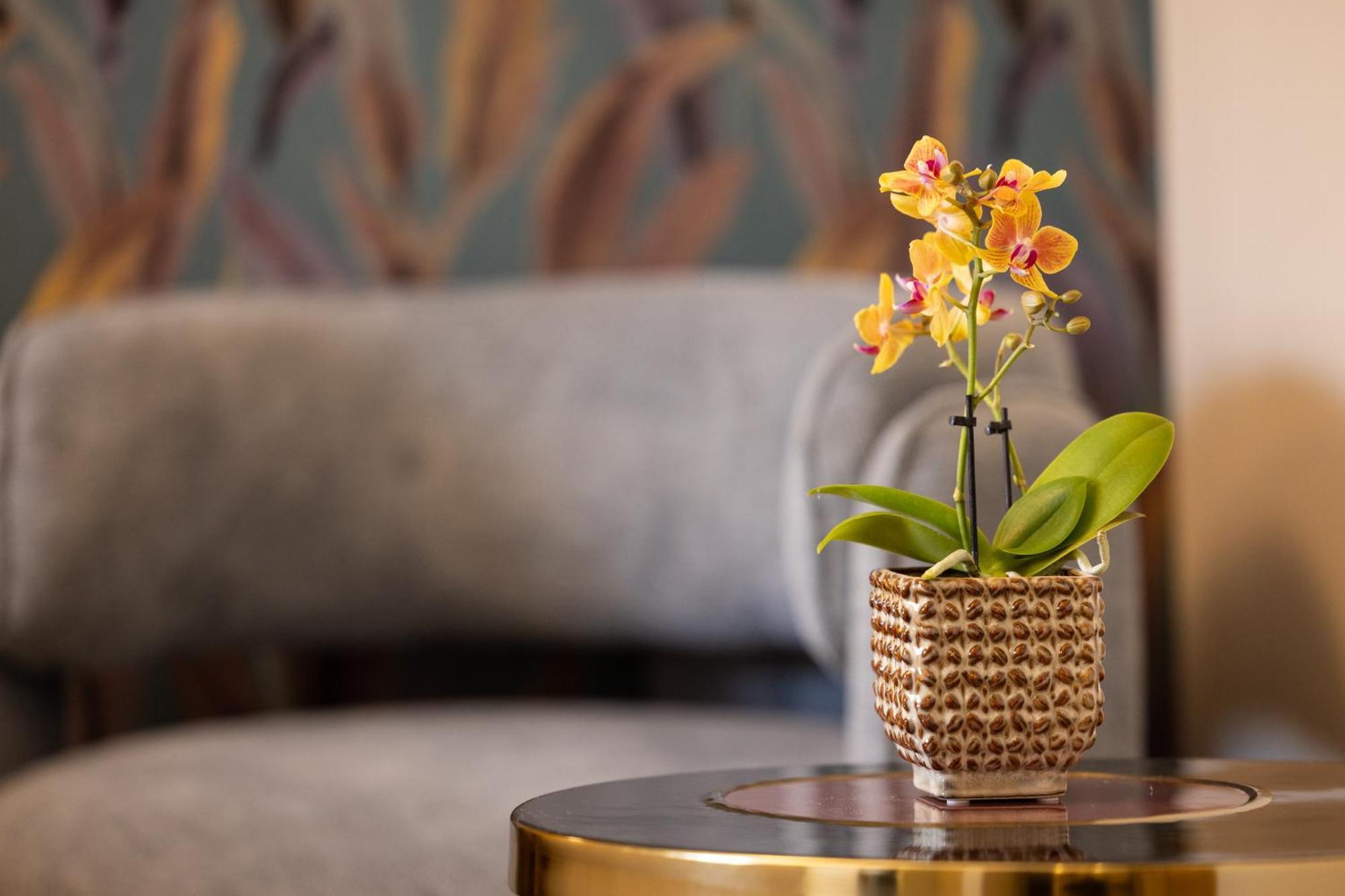 Mavi Luxury Suites Rome Extérieur photo